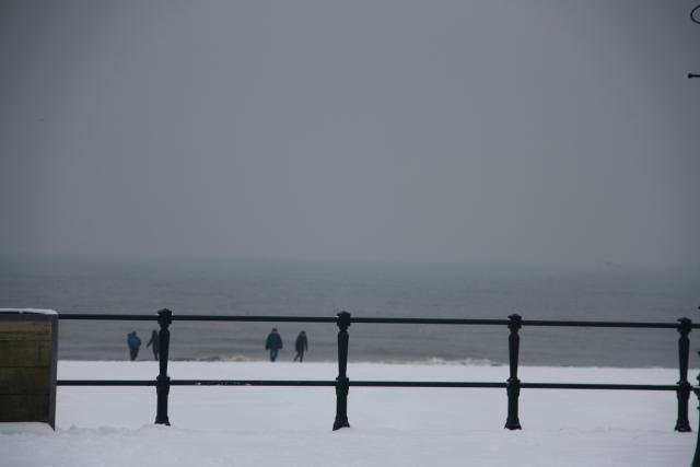 IMG_4959.JPG