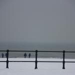 IMG_4959.JPG