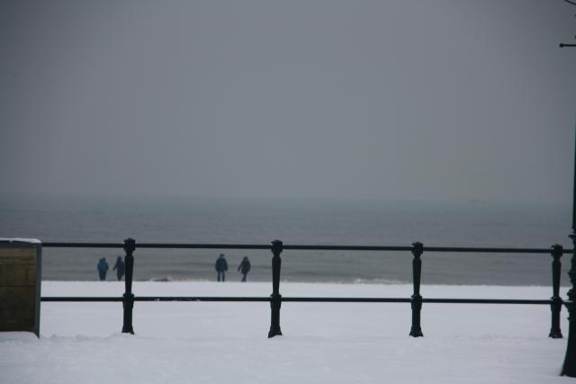 IMG_4960.JPG