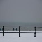 IMG_4960.JPG