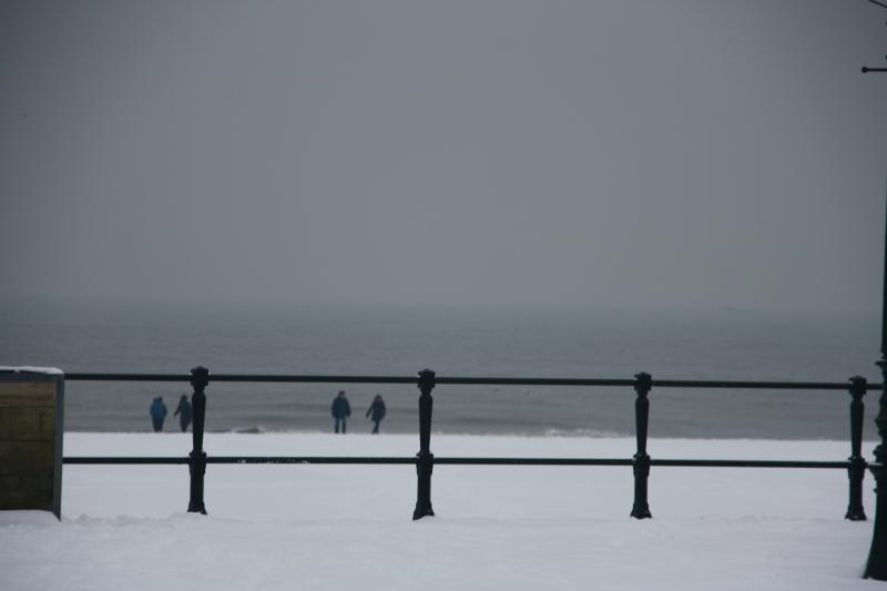 IMG_4960.JPG