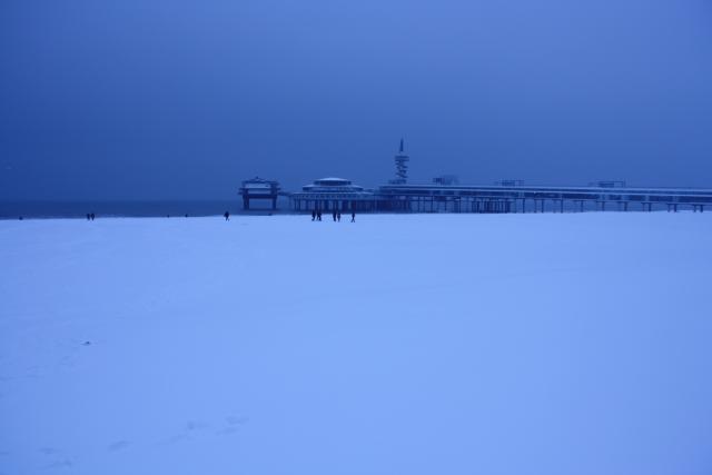 IMG_4962.JPG