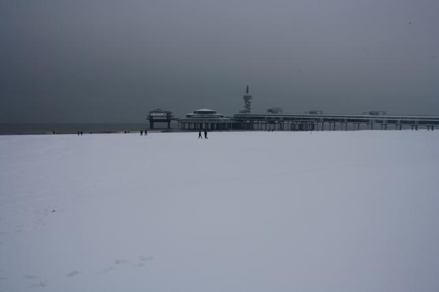 IMG_4965.JPG