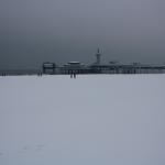 IMG_4965.JPG