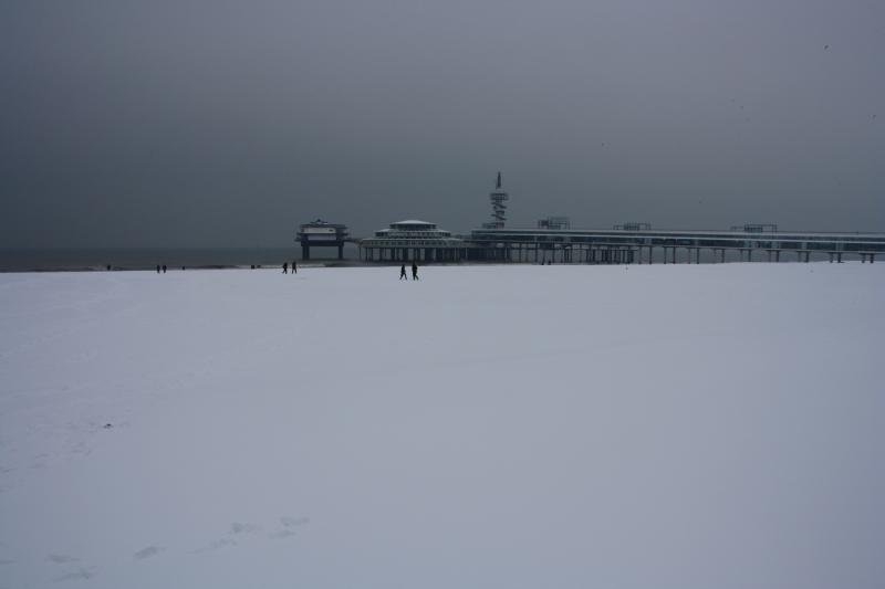 IMG_4965.JPG