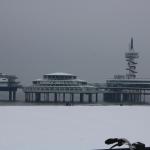 IMG_4975.JPG