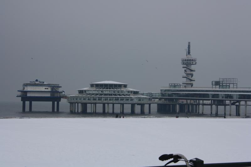 IMG_4975.JPG