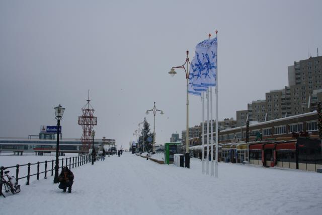 IMG_4978.JPG