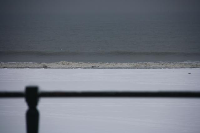 IMG_4985.JPG