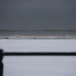 IMG_4985.JPG