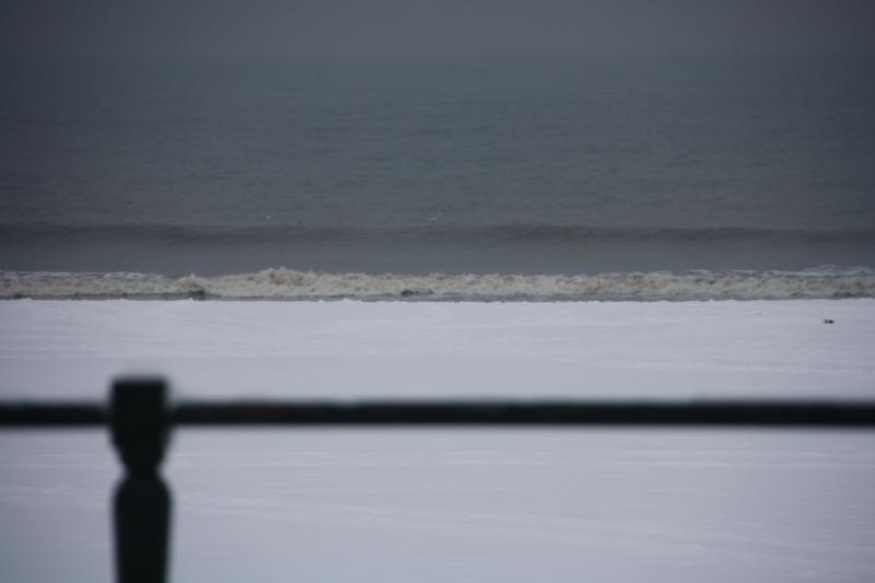 IMG_4985.JPG