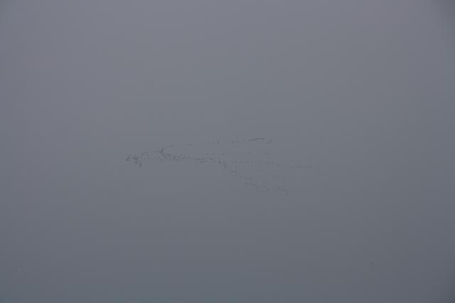 IMG_4990.JPG