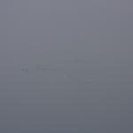 IMG_4990.JPG