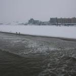 IMG_4995.JPG