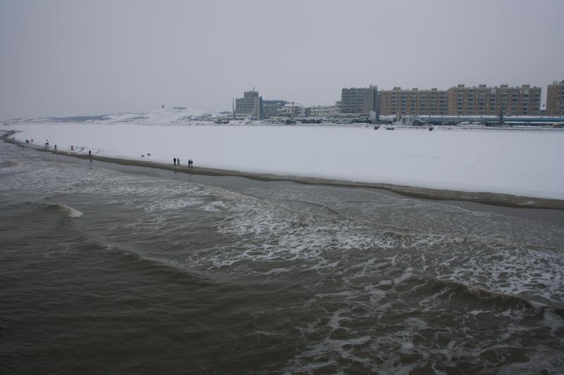 IMG_4995.JPG