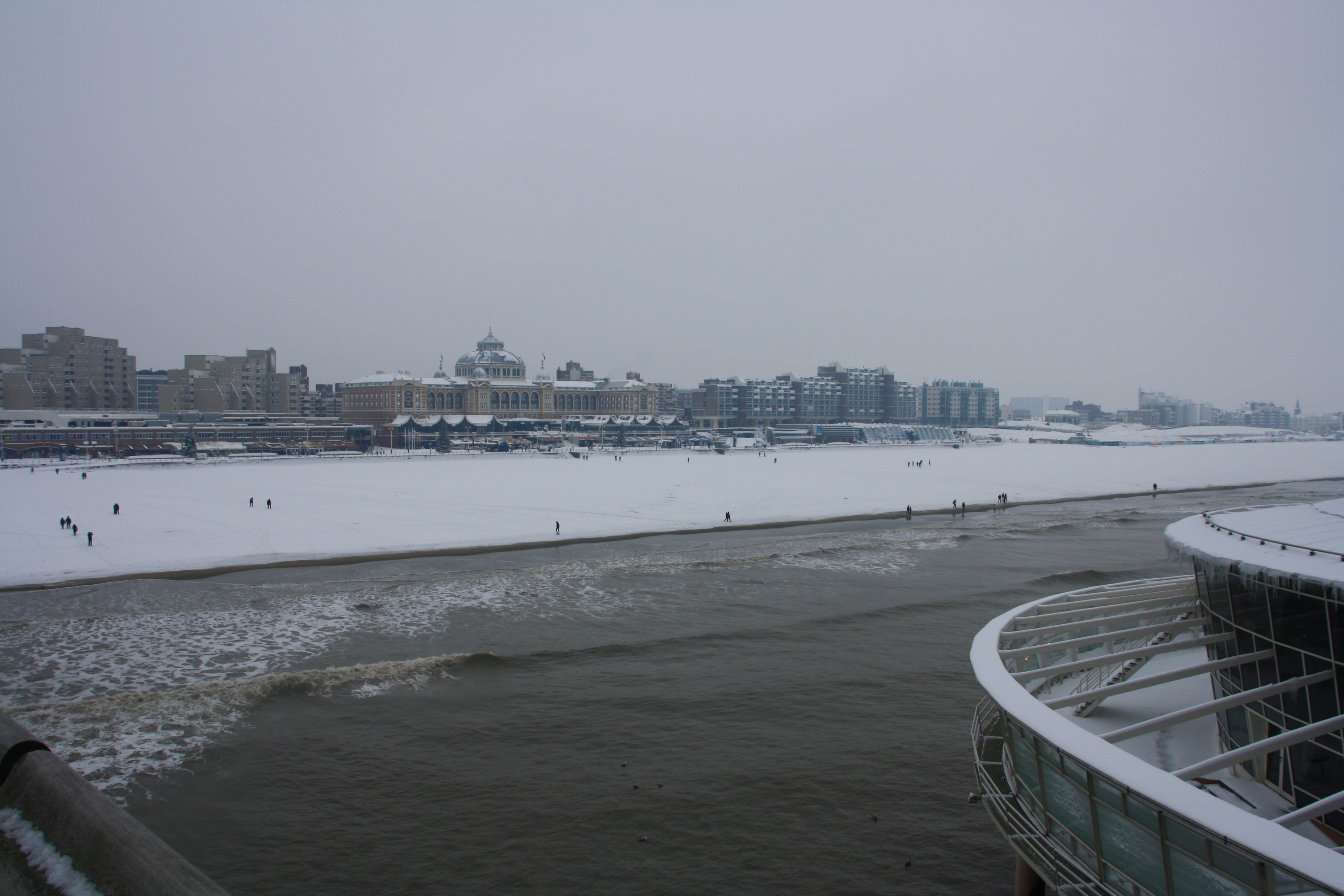 IMG_5000.JPG