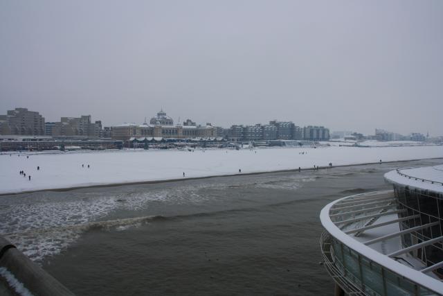 IMG_5000.JPG