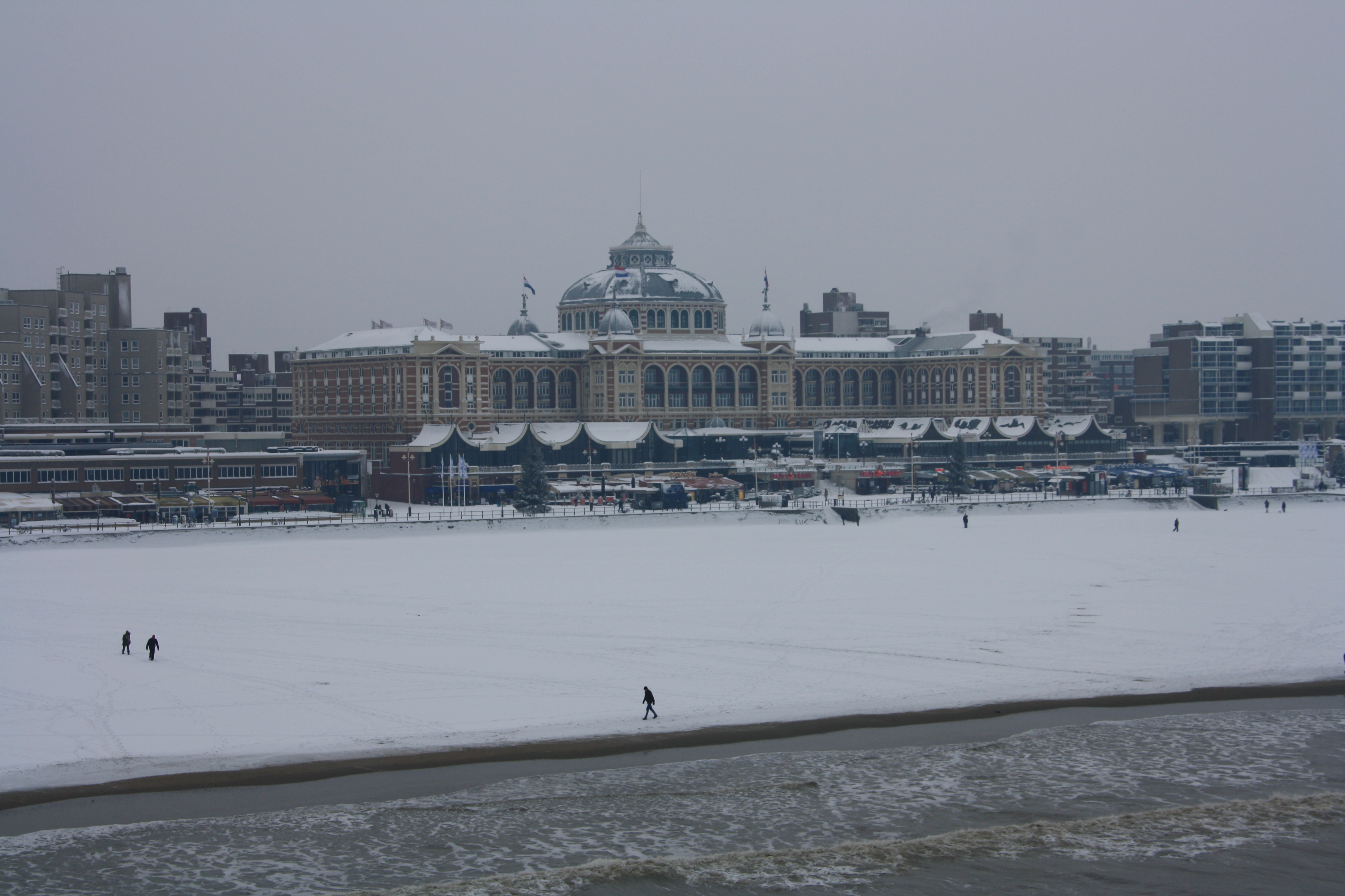 IMG_5001.JPG