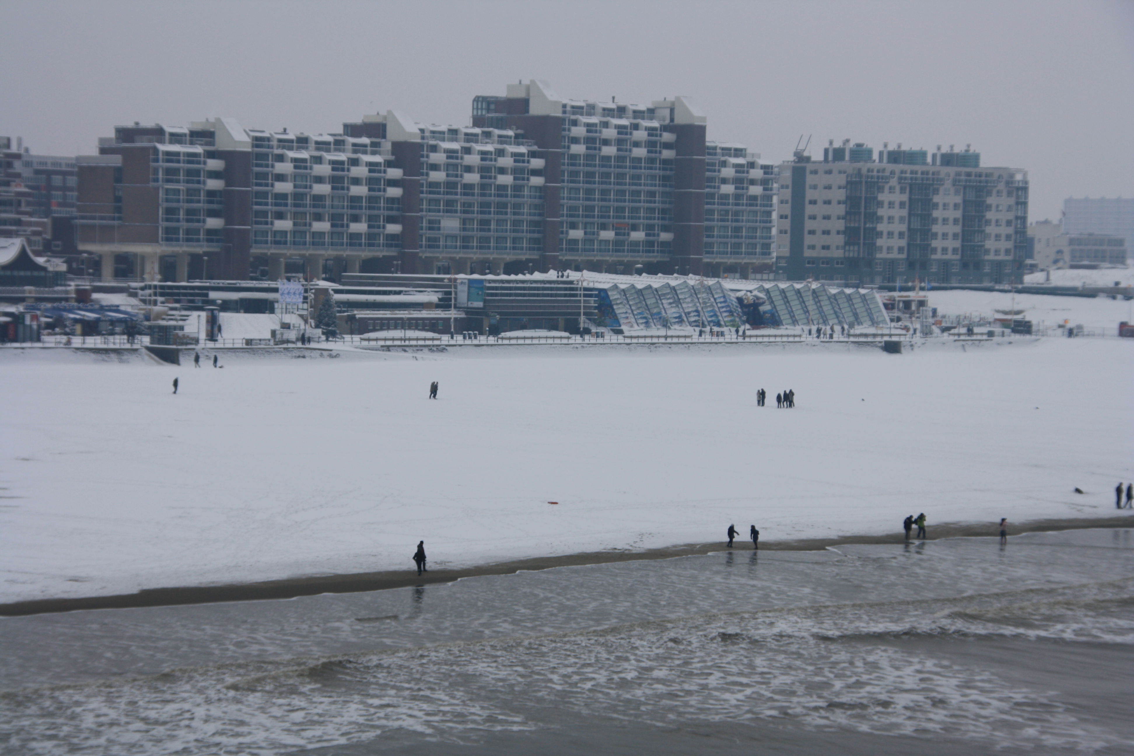 IMG_5002.JPG