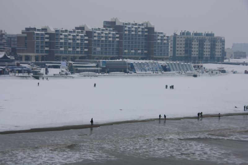 IMG_5002.JPG