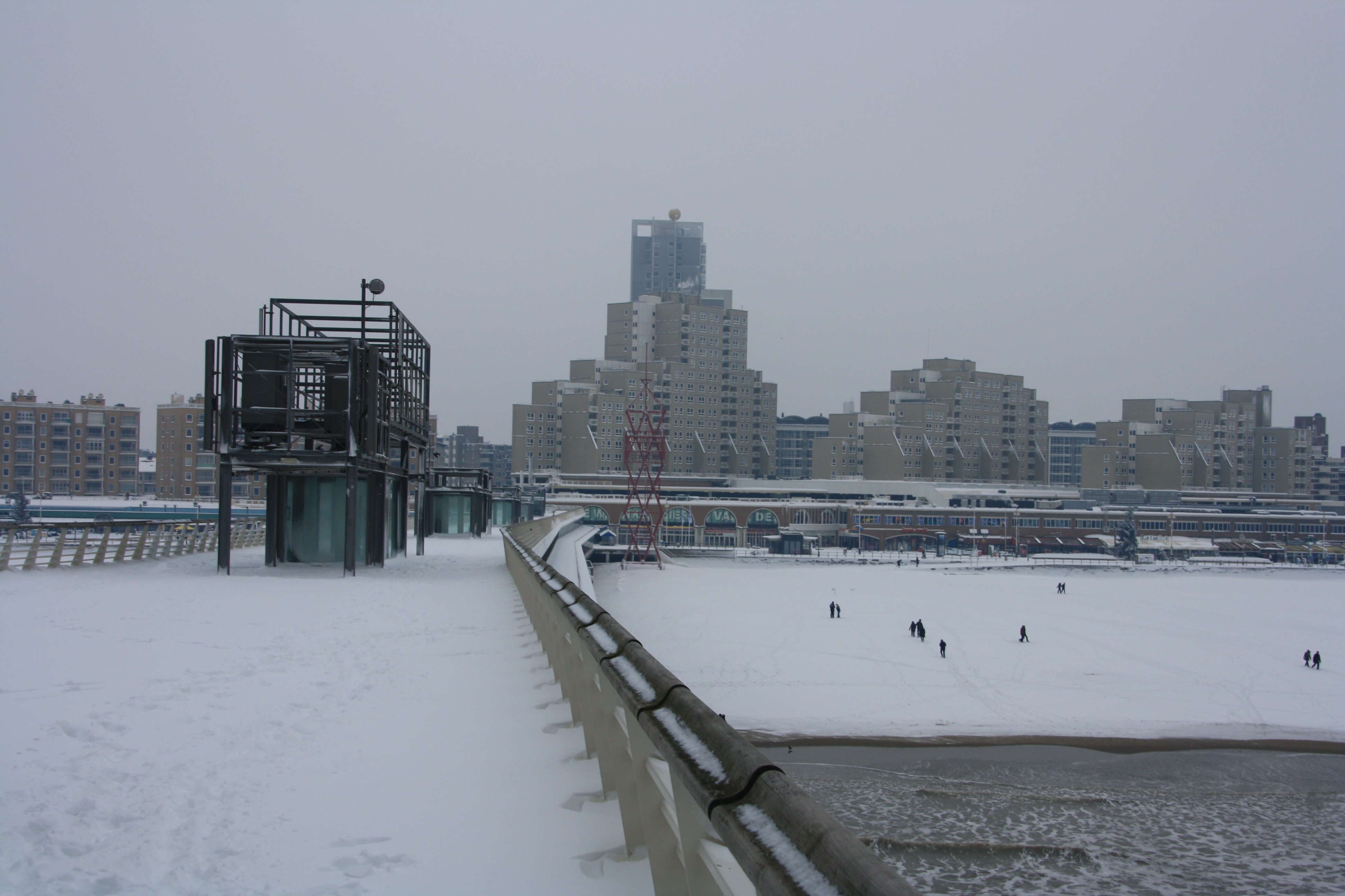 IMG_5003.JPG