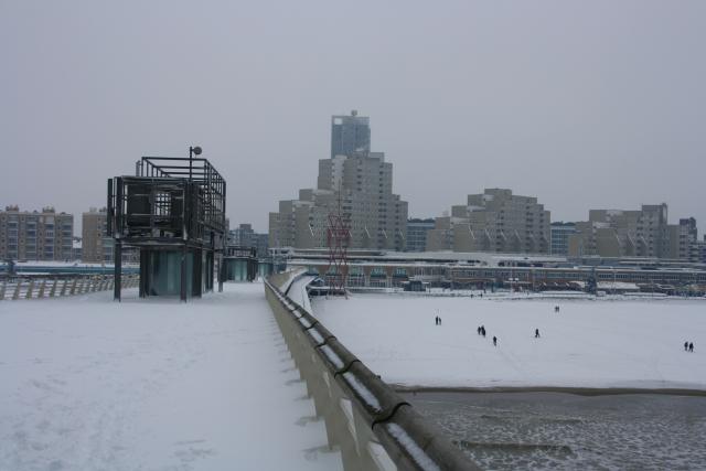 IMG_5003.JPG