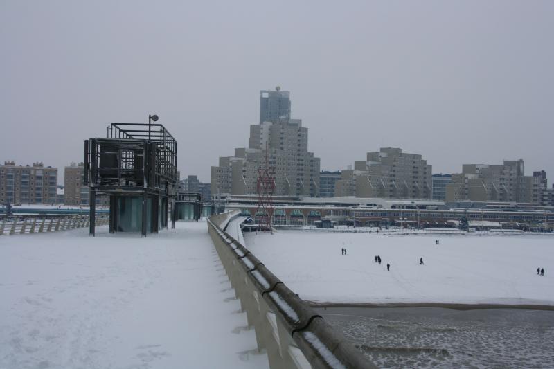 IMG_5003.JPG