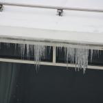 IMG_5005.JPG
