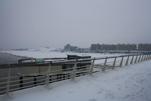 IMG_5017.JPG