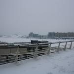 IMG_5017.JPG
