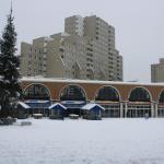 IMG_5025.JPG