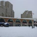 IMG_5026.JPG