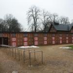 IMG_5567.JPG