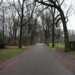 IMG_5574.JPG