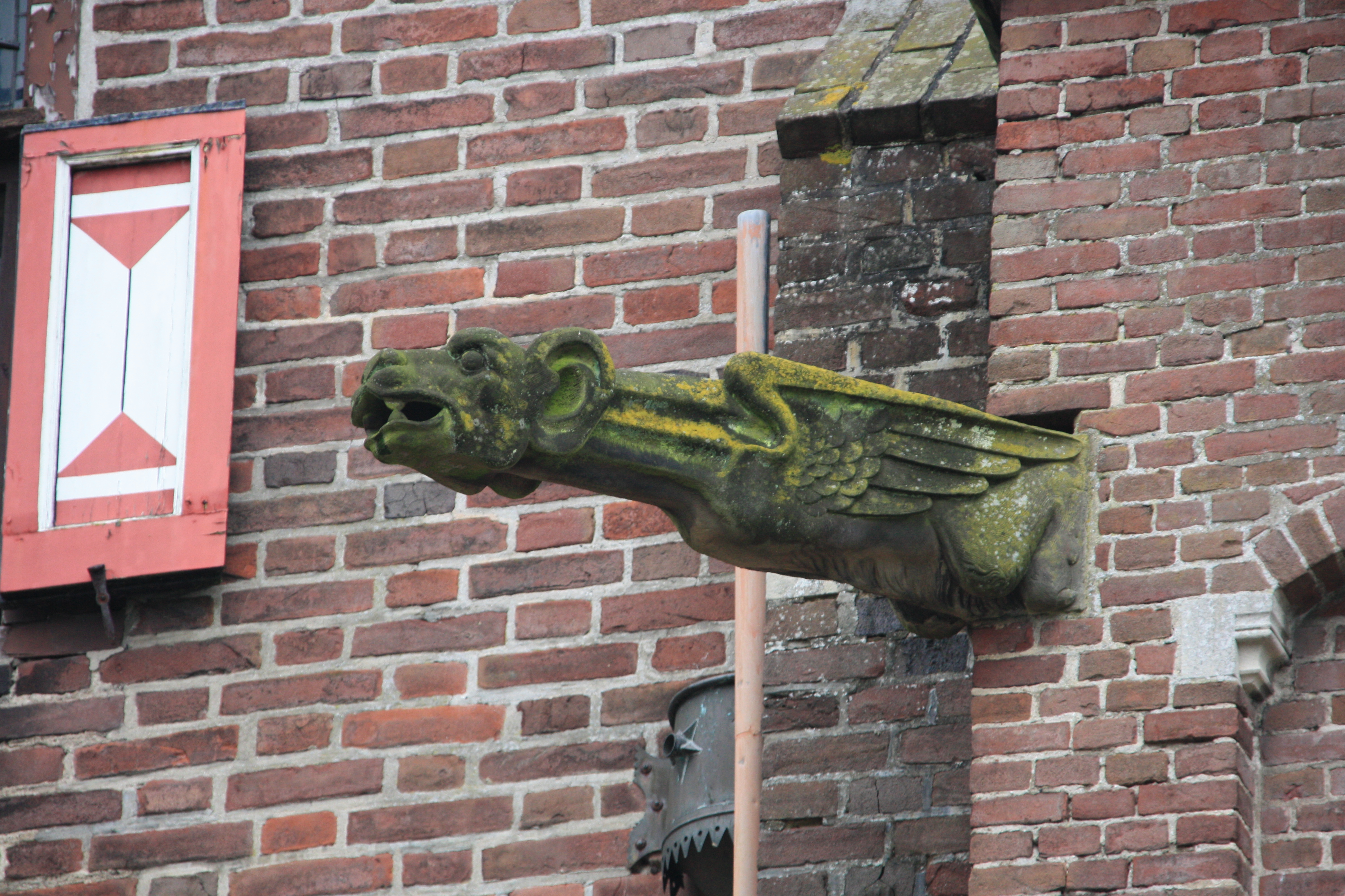 IMG_5620.JPG