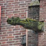 IMG_5620.JPG