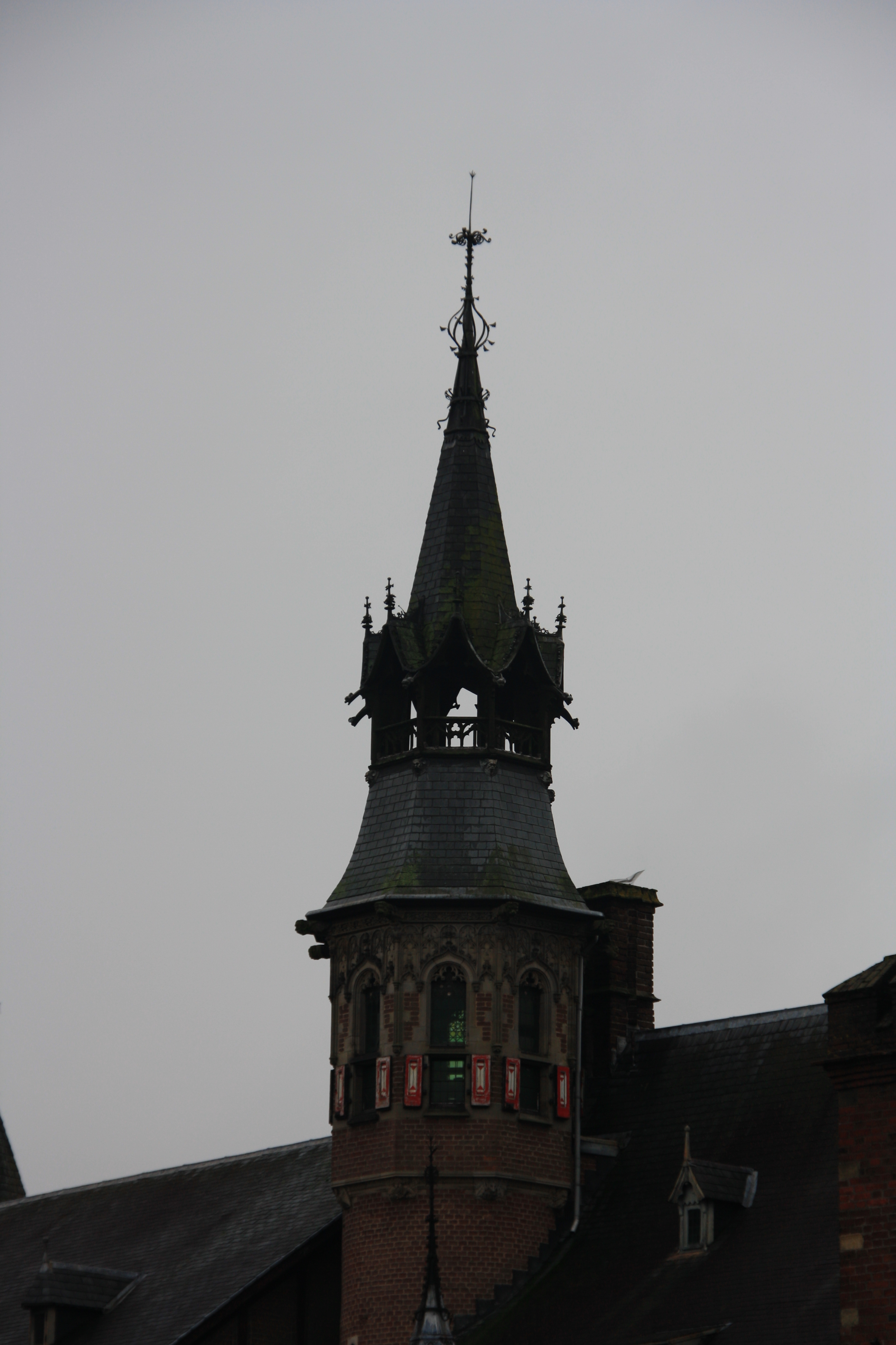IMG_5634.JPG