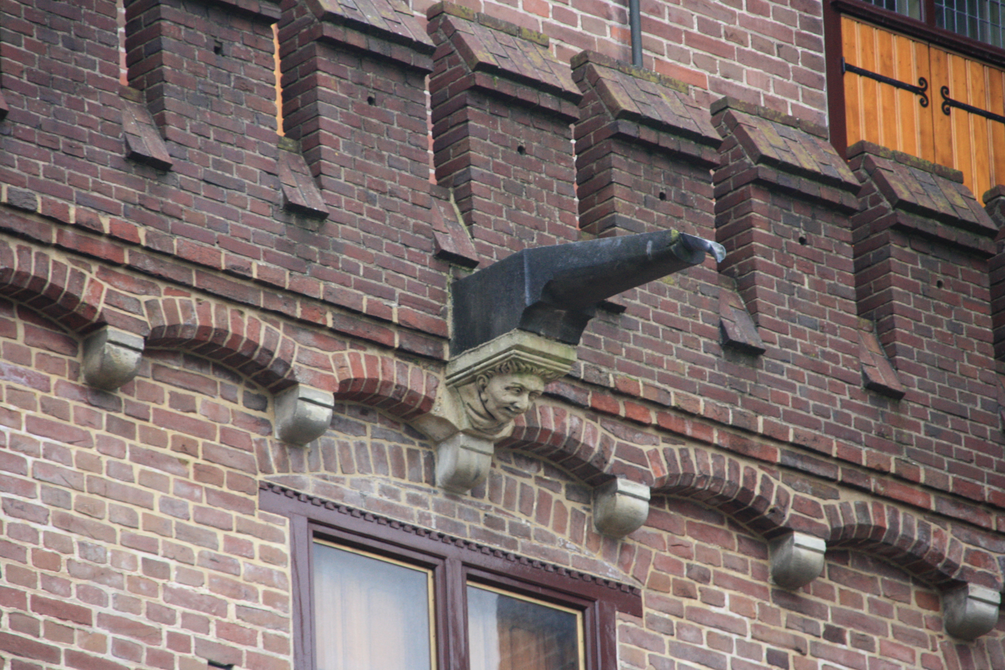 IMG_5659.JPG