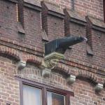 IMG_5659.JPG