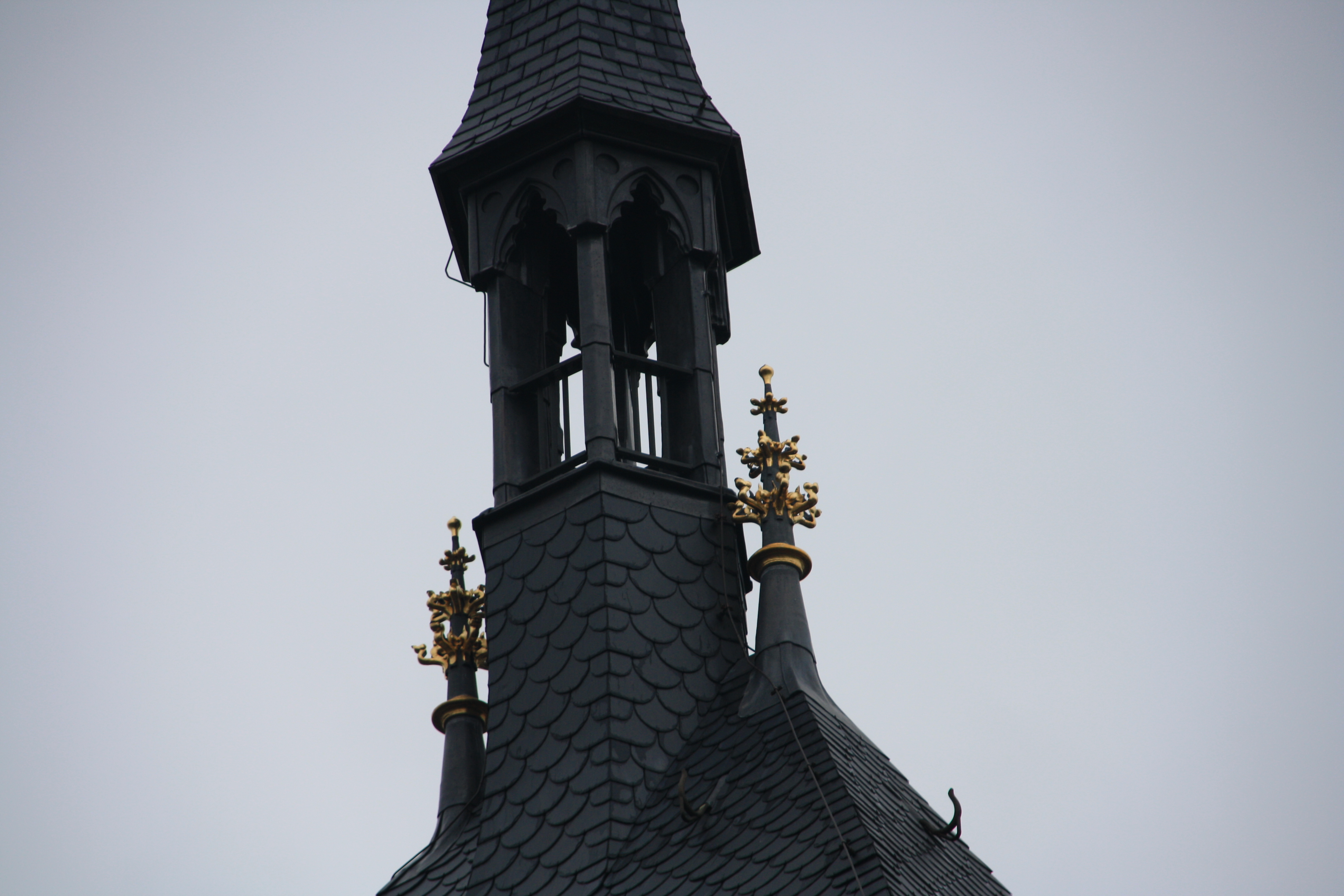 IMG_5660.JPG