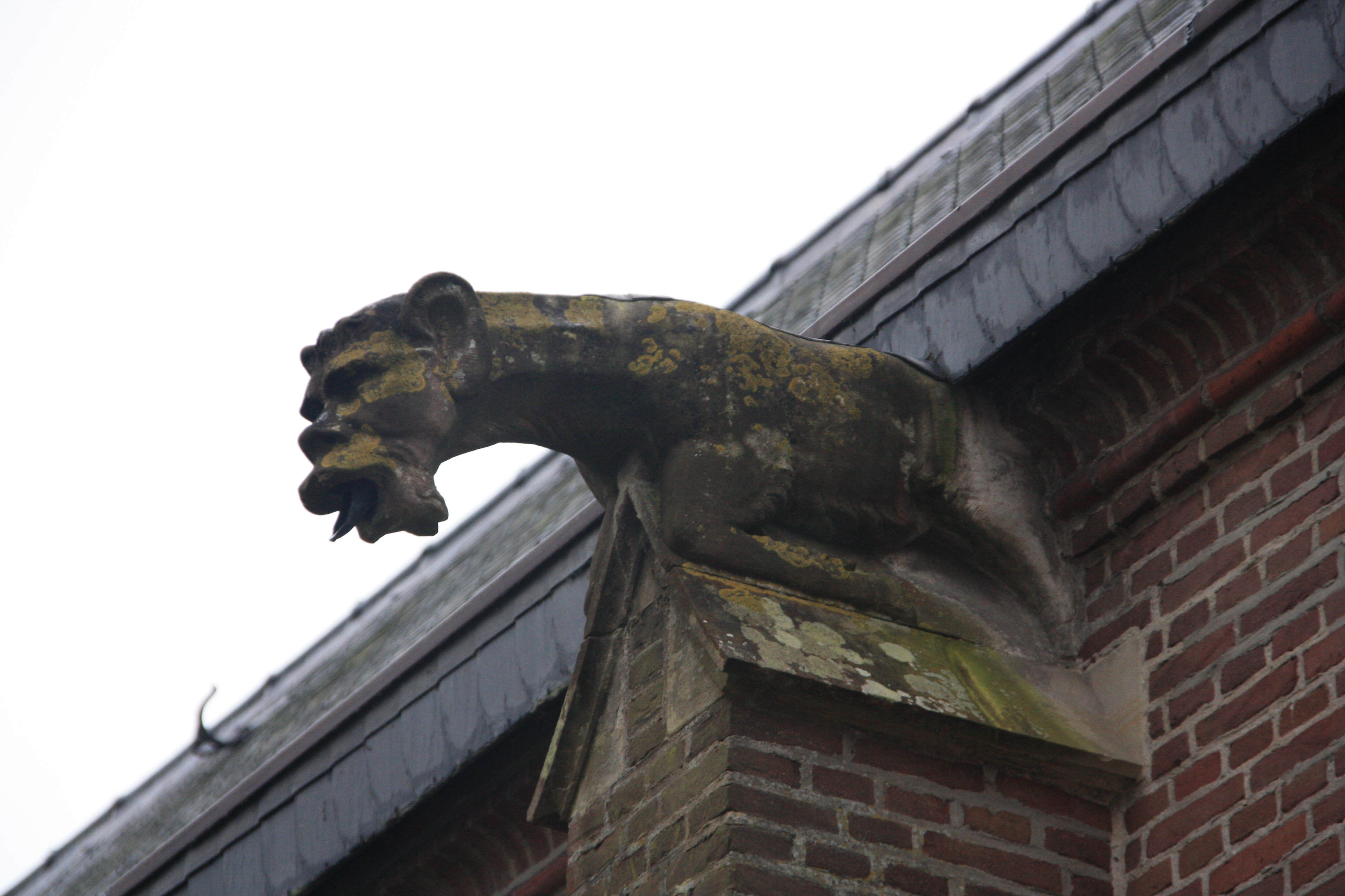 IMG_5664.JPG