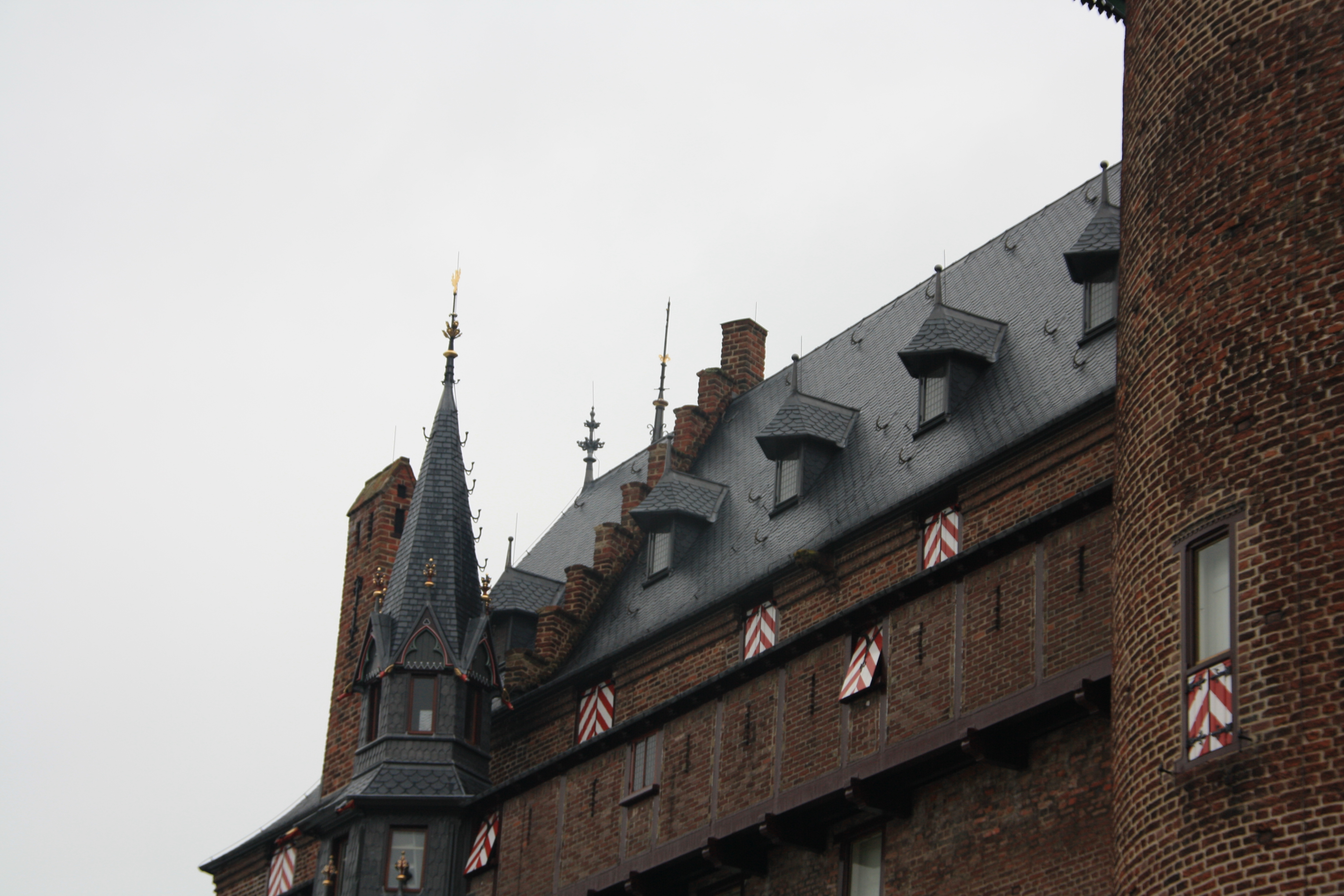IMG_5665.JPG