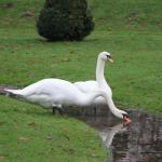 IMG_5685.JPG