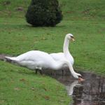 IMG_5686.JPG