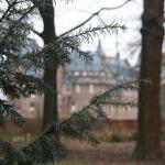 IMG_5710.JPG