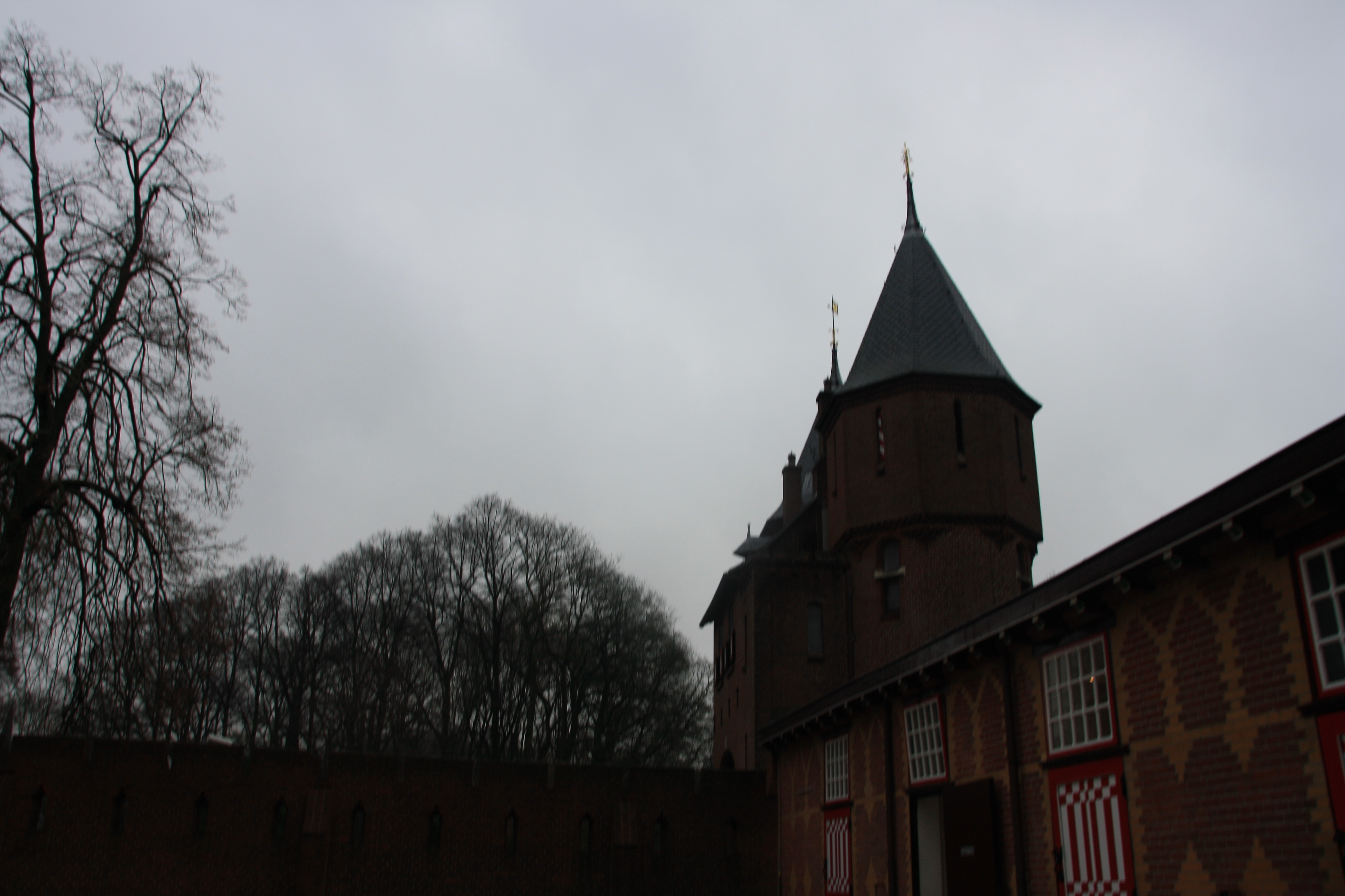 IMG_5716.JPG