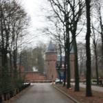 IMG_5547.JPG