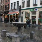 IMG_5739.JPG