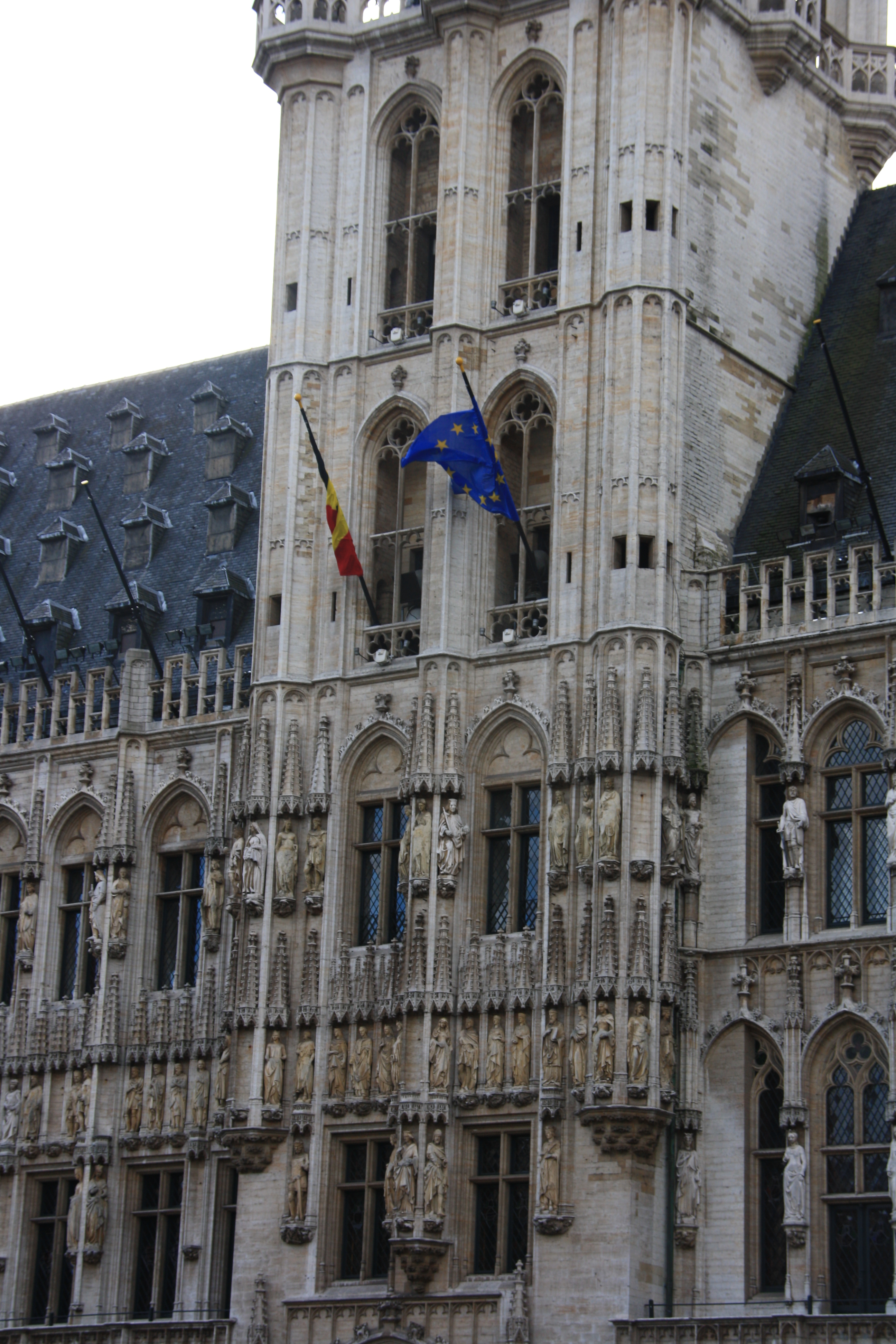 IMG_5755.JPG