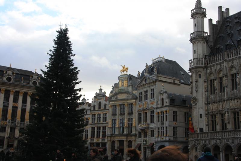IMG_5769.JPG